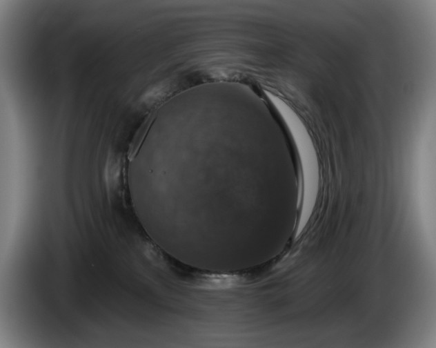 X0000085770233200703301410