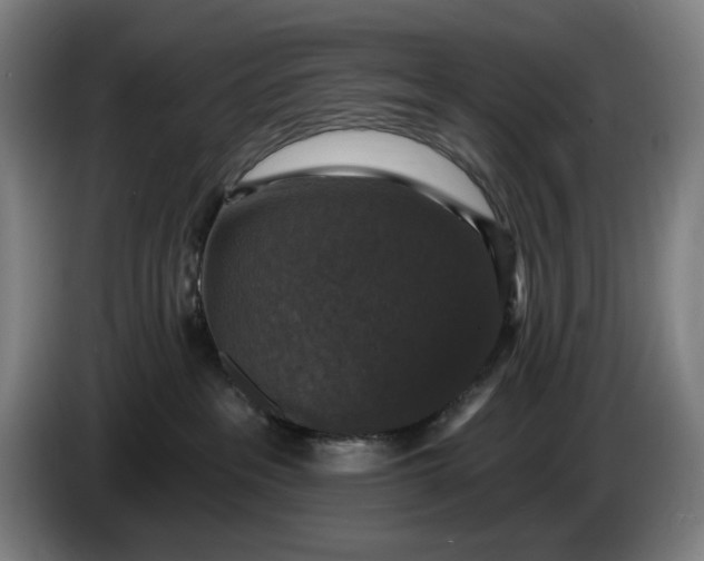 X0000085770237200703301410