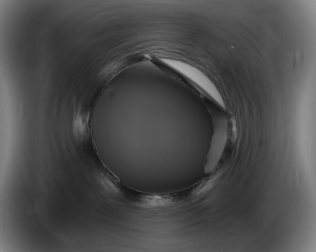 X0000085770239200703301410