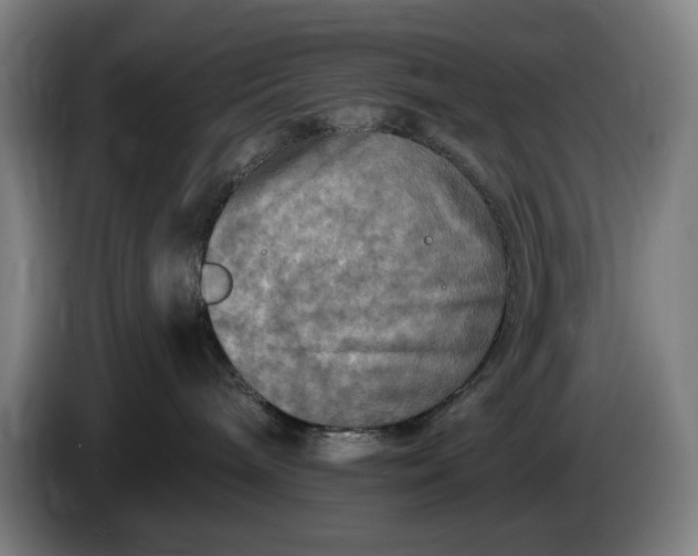 X0000085770240200703301410