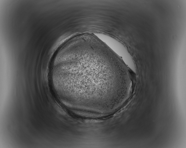 X0000085770242200703301409