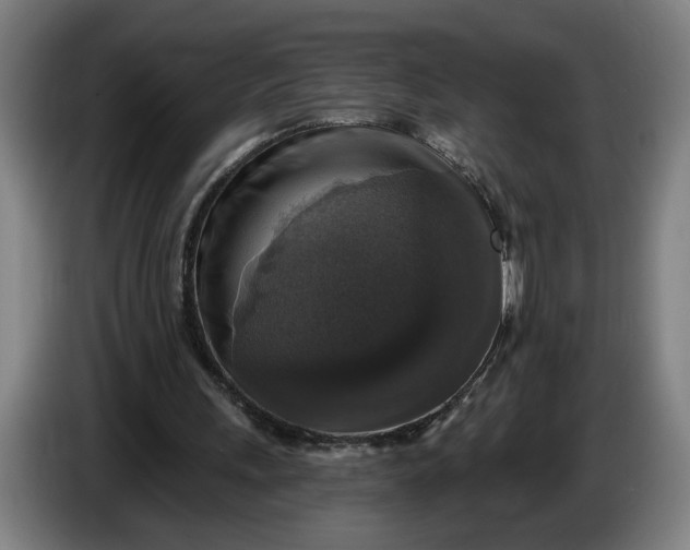 X0000085770243200703301409