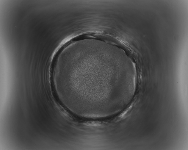 X0000085770244200703301409