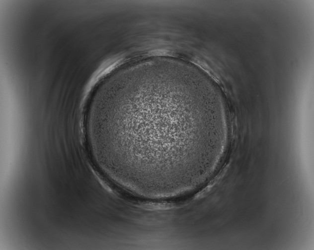 X0000085770245200703301409