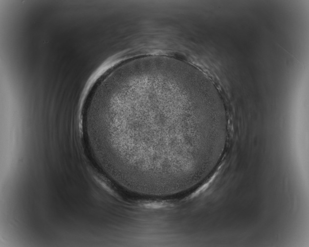 X0000085770246200703301409