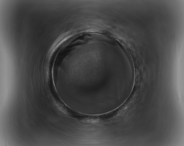 X0000085770247200703301409