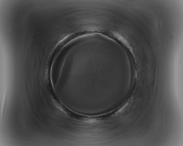 X0000085770249200703301409