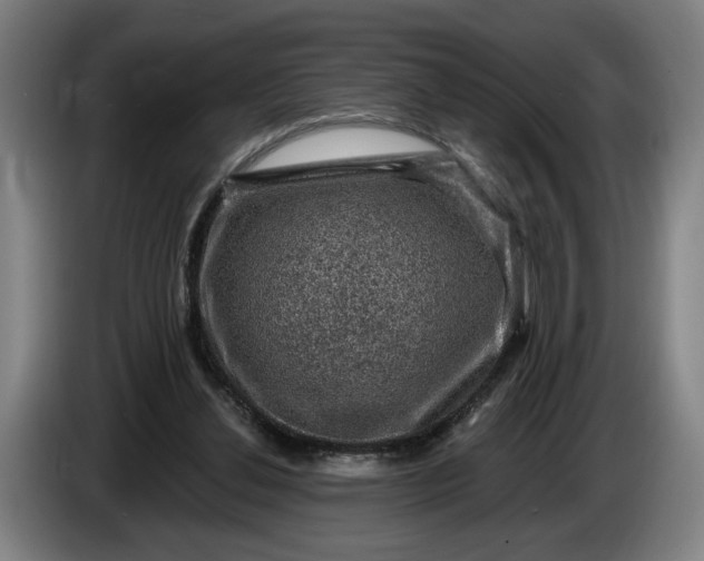 X0000085770252200703301409