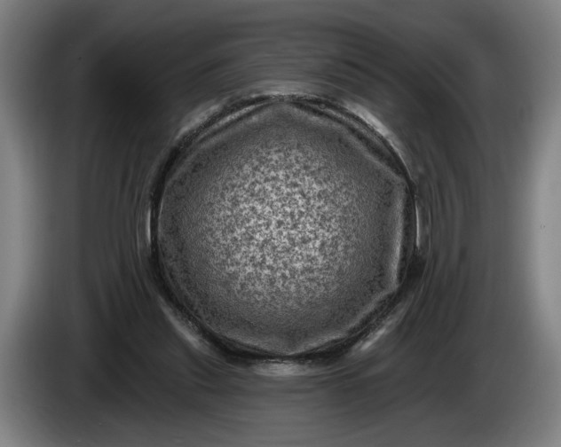 X0000085770253200703301409