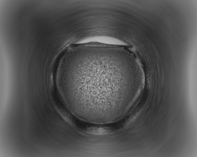 X0000085770254200703301409