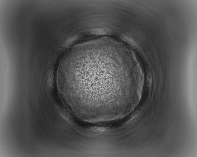 X0000085770255200703301409