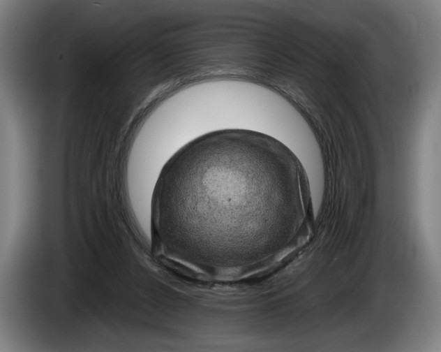 X0000085770256200703301409