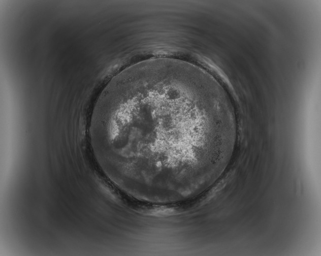 X0000085770257200703301409