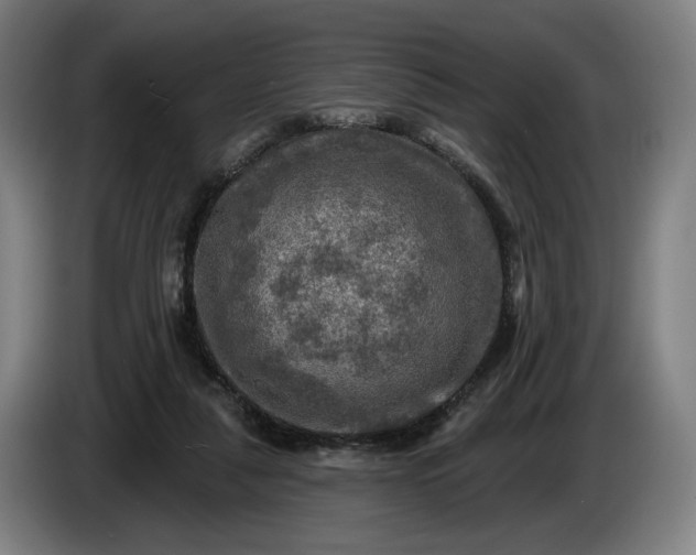 X0000085770259200703301409