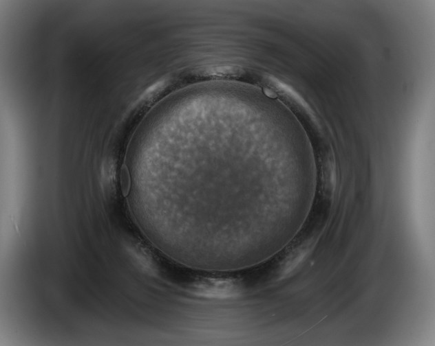 X0000085770260200703301410