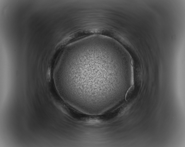 X0000085770262200703301410