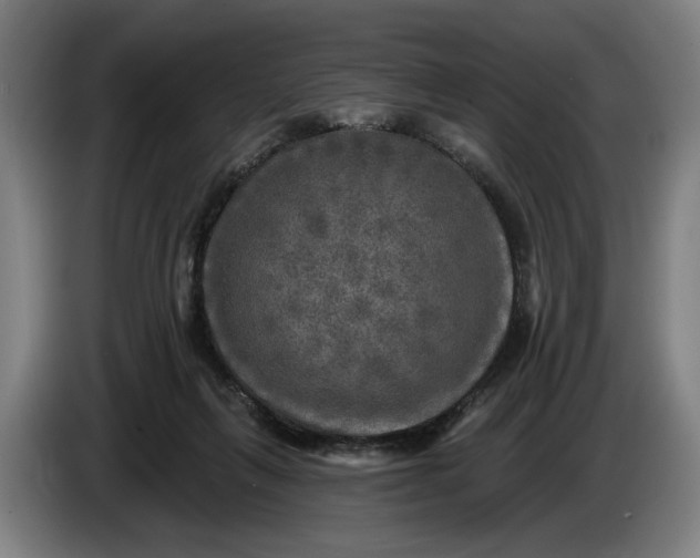 X0000085770263200703301410