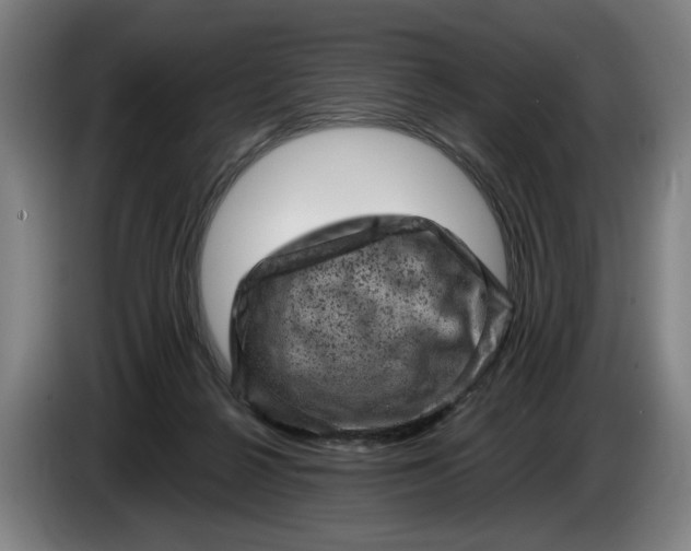 X0000085770264200703301410