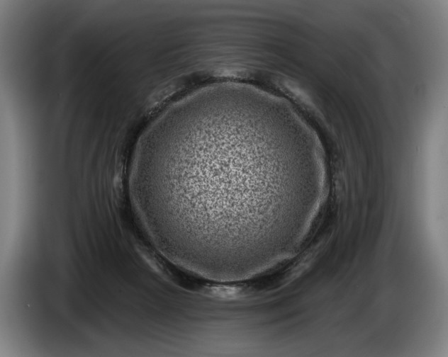 X0000085770265200703301410