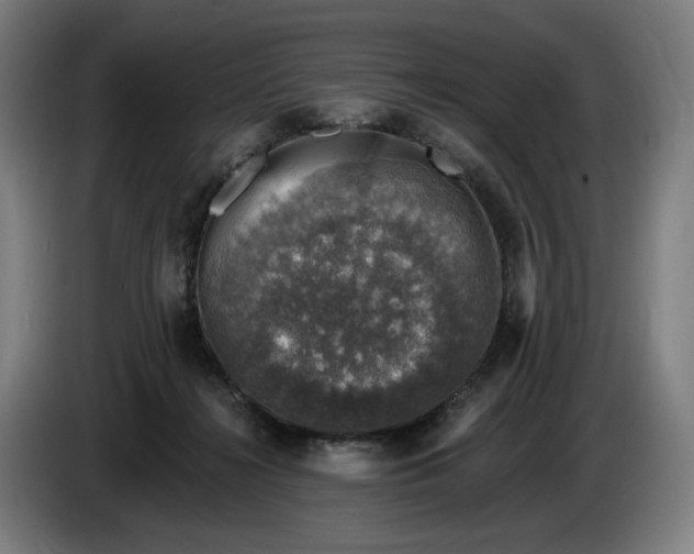 X0000085770268200703301410