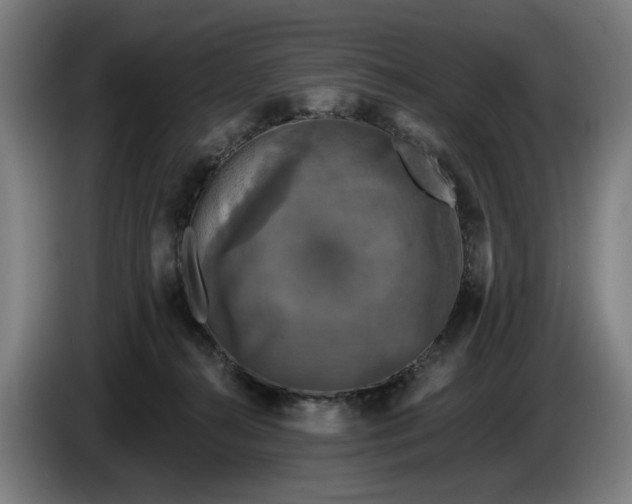 X0000085770272200703301410