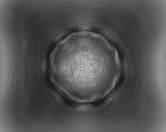 X0000085770274200703301410