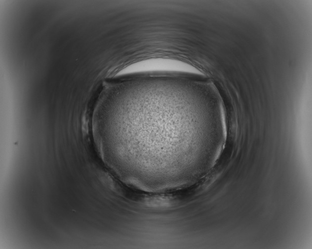 X0000085770282200703301410