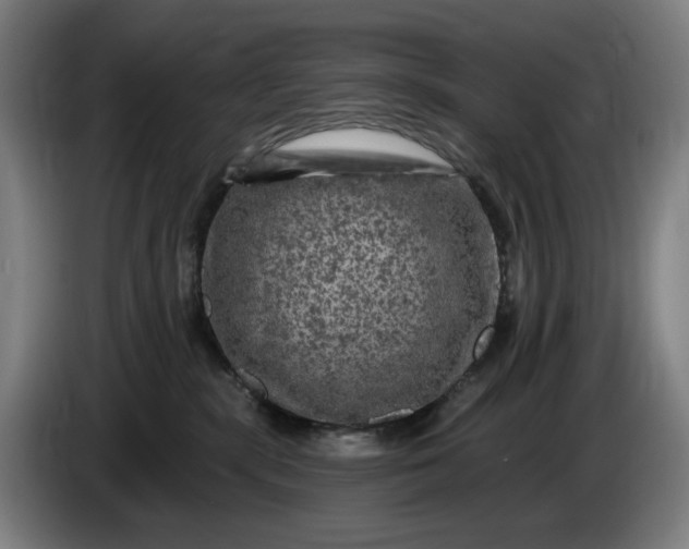 X0000085770283200703301410