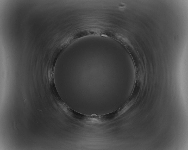 X0000085770285200703301410