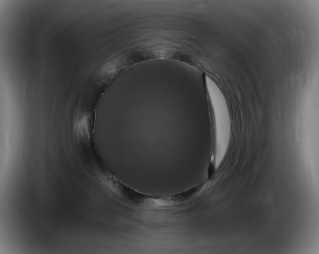 X0000085770286200703301410