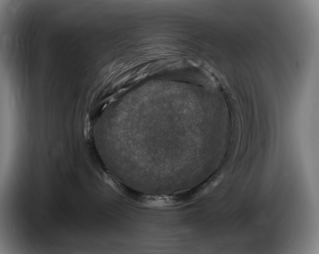 X0000085770288200703301410