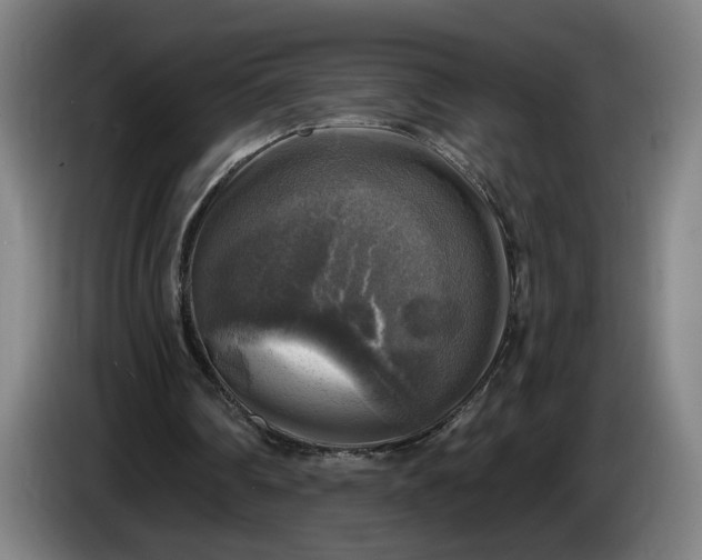 X0000085770290200703301409