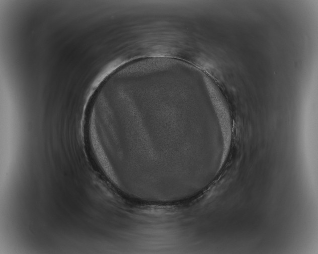 X0000085770292200703301409