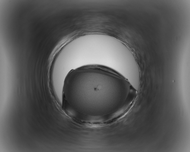 X0000085770293200703301409