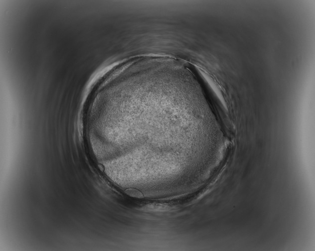 X0000085770294200703301409