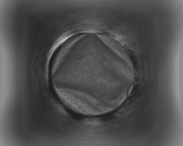 X0000085770296200703301409