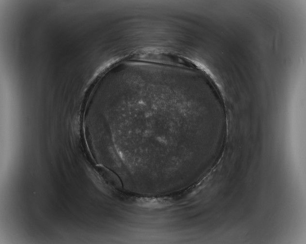 X0000085770297200703301409