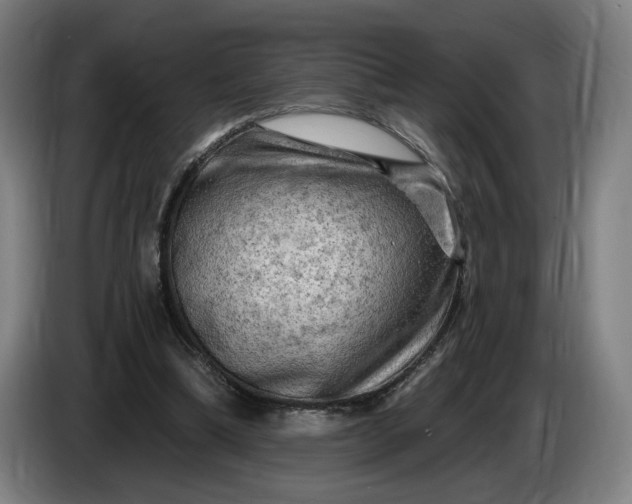 X0000085770298200703301409