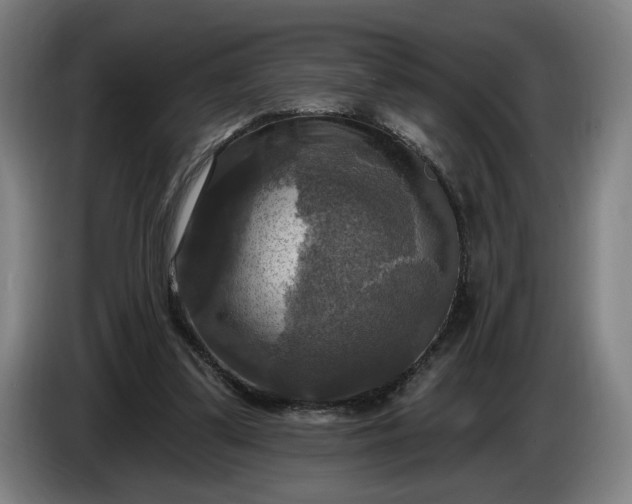 X0000085770299200703301409