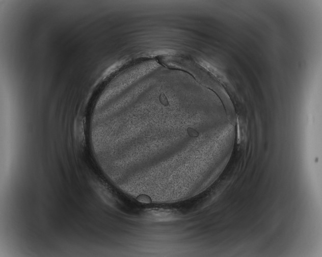 X0000085770300200703301409