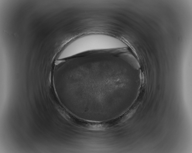 X0000085770301200703301409