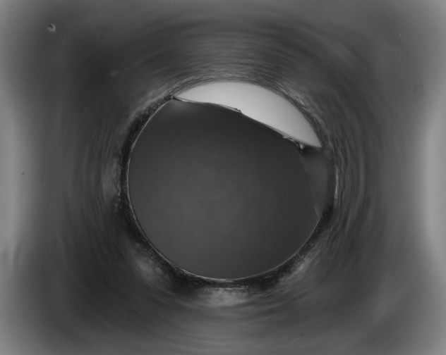 X0000085770303200703301409