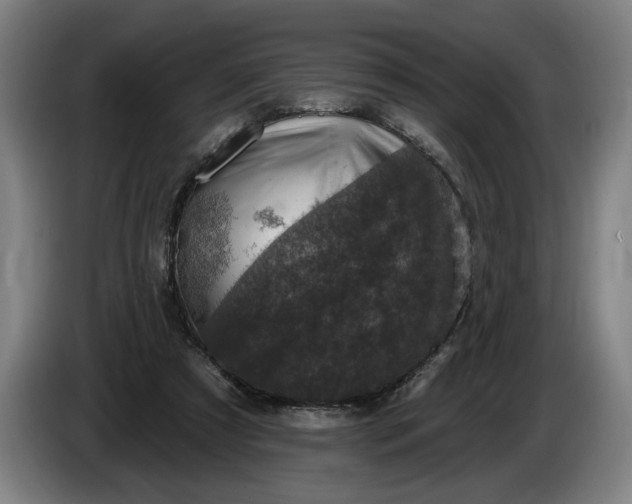 X0000085770305200703301409