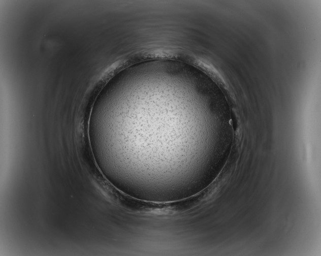 X0000085770306200703301409