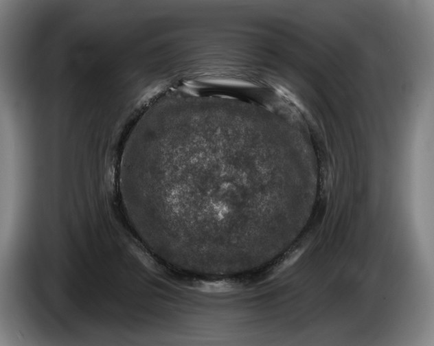 X0000085770309200703301409