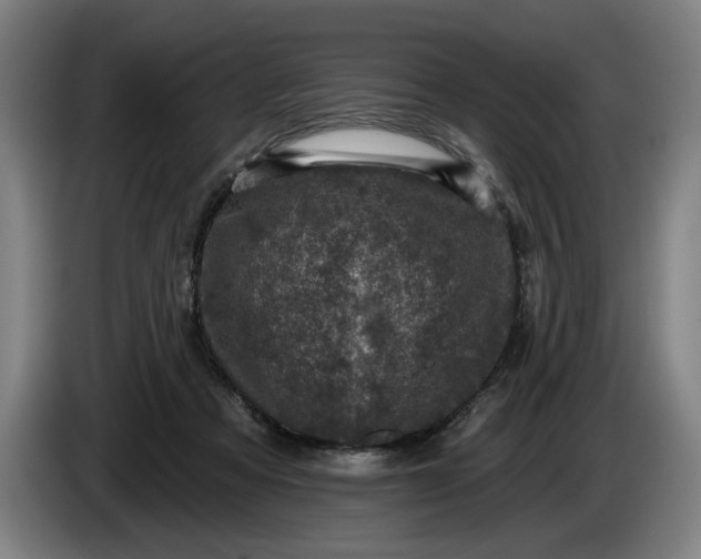 X0000085770313200703301409