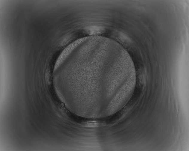 X0000085770316200703301409