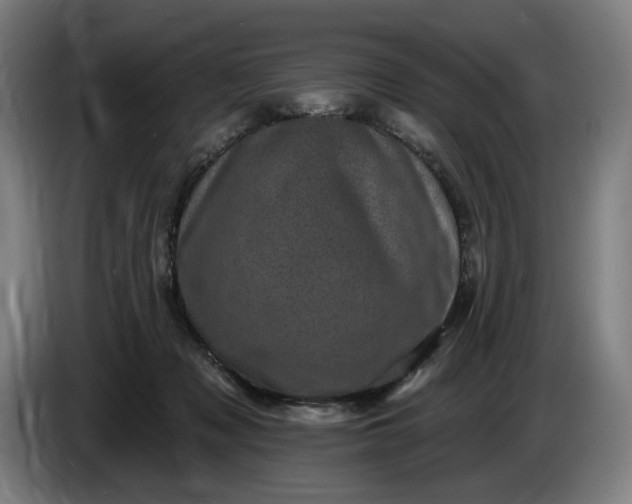 X0000085770317200703301409