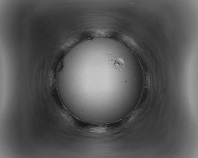 X0000085770318200703301409