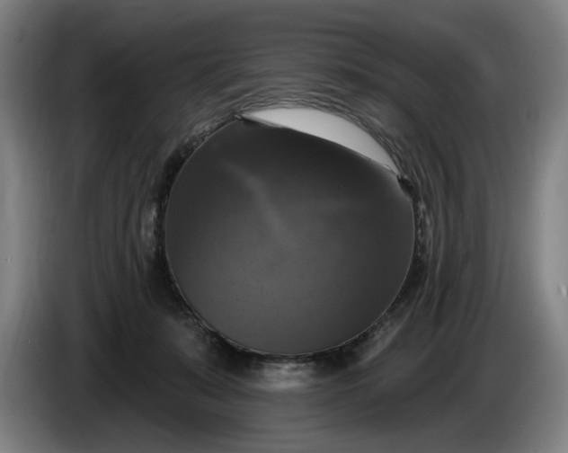 X0000085770319200703301409